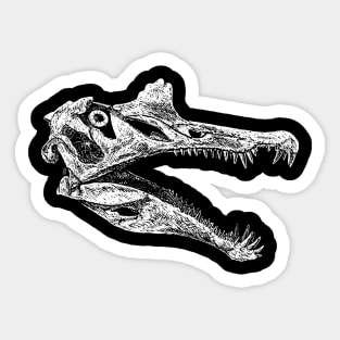Spinosaurus Skull (plain) Sticker
